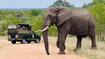Kruger National Park Full Day Private safari