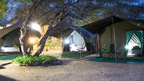 5 day Private Kruger Under Canvas Escorted Safari 
