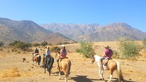 Horse Riding Tour in the Andes Santiago Chile