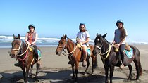 Viña del Mar and Valparaiso Private Tour Including Horseriding