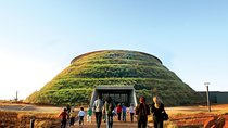 Full Day Private Cradle of Humankind