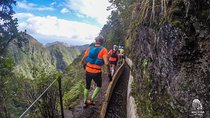 Green Levada Running Tour (Easy-Moderate)