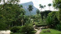 Rio de Janeiro Botanical Garden Tour