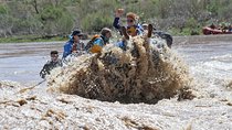 Whitewater Rafting on the Colorado River