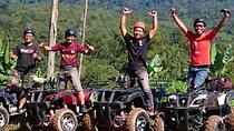 ATV Nature Off-road Ride through Rainforest with Private Pickup