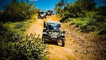 3 Hour Guided TomCar ATV Experience in Sonoran Desert