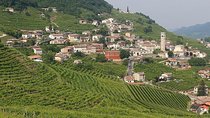 Prosecco region cellar visit, wine tasting, Palladian Villa, medieval village