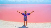 Cancun tour Las Coloradas Pink Lagoon + Rio Lagartos Tour