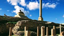Full-Day Alexandria Sightseeing Excursion from Cairo