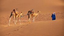 2 Days 1 night to Zagora from Marrakech 