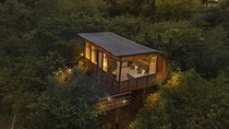 Private Leopard Nest Luxury Glamping Experience at Yala