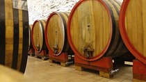 Wine tasting, Valpolicella cellar visit, Amarone and red wines region day tour
