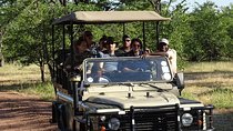 Game Drive & Rhino Safari Exp - up to 3 hrs long - MIN 2 PEOPLE