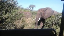 Hluhluwe Safari Day Tour: 12hrs,Cost: R3950pp-2pax or more trav.