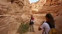 Private Tour to Saint Catherine Monastery , and Colored Canyon by Jeep
