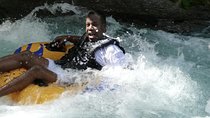 Dunn's River Falls and River Tubing Private Tour