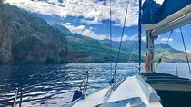 Half Day Sailing Excursion along the Coast