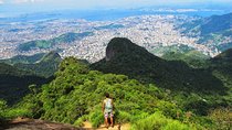 Tijuca Peak Hiking Tour & Taunay Waterfall - Rio de Janeiro