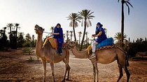 Camel ride in Marrakech (Palmerie) 
