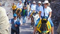 Ouirgane DAy Trip Mule Trek & Berber Villages From Marrakech