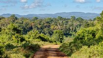 Aberdare National Park - Two Day Tour