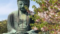 Historic Kamakura: Temples, Shrines and Street Food Private Walking Tour