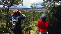 Private Tour: Hawaii Volcanoes National Park Eco Tour