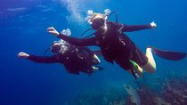 Catalina Island With Scuba Diving - Amazing Full Day Tour Activity