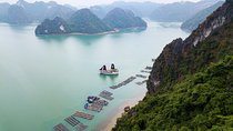 Luxury 5* Halong Bay 1 Day 8 hours cruising and Limousine