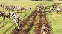 tarangire & ngorongoro 2 days tour