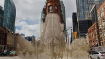 Explore Canada's Metropolis with Walking Tours Through Toronto