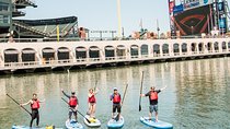 Stand-Up Paddleboarding in San Francisco's Mission Bay