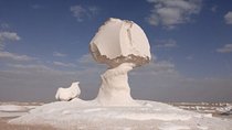 2 Days White Desert and Bahariya Oasis Tour