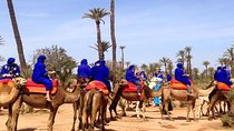 Quad Bike and Camel Ride in Marrakech Palmeraie