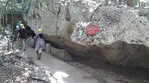 Green Grotto Caves Horseback Riding Adventure from Montego Bay