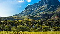 Cape Town 3 Attractions - Cobra Car Experience & Cape Peninsula & Wine Tasting