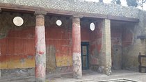 Tour in the ruins of Herculaneum with an archaeologist