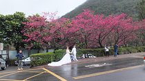 One-day Yangmingshan NP Beitou Hot Spring Park and Tamsui Tour Package