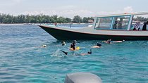 Underwater Wonders Of North Gili