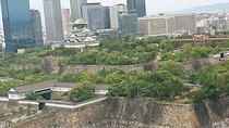 Osaka Castle & Dotonbori Lively One-Day Walking Tour