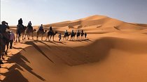 From Marrakech : Private 4 Days Desert Tour 