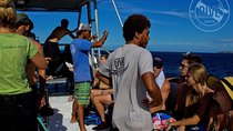 Two Tanks Scuba Diving Tour at Catalina Islands & North Island - CR
