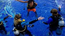 Scuba Diving for Non-Certified Divers at Catalina Islands & North Island - CR