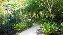 Queen Elizabeth II Botanic Park and Pedro St James Castle Tour in Grand Cayman