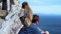 Gibraltar private trip from Marbella or Malaga