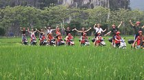 Motorbike Backroad-Tam Coc- Hoa Lu- Valley -Rice Paddies Fields