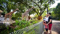Private Tour to Kuala Lumpur Most Iconic Animal Attractions