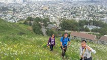 San Francisco Urban Hike: Castro and Twin Peaks