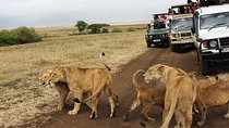 16 Day Great Adventure Kenya - Tanzania Clasic Safari (MINIMUM 2 PAX)