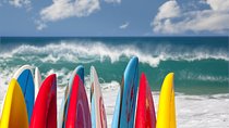 1.5-Hour Surf Lesson in Santa Monica